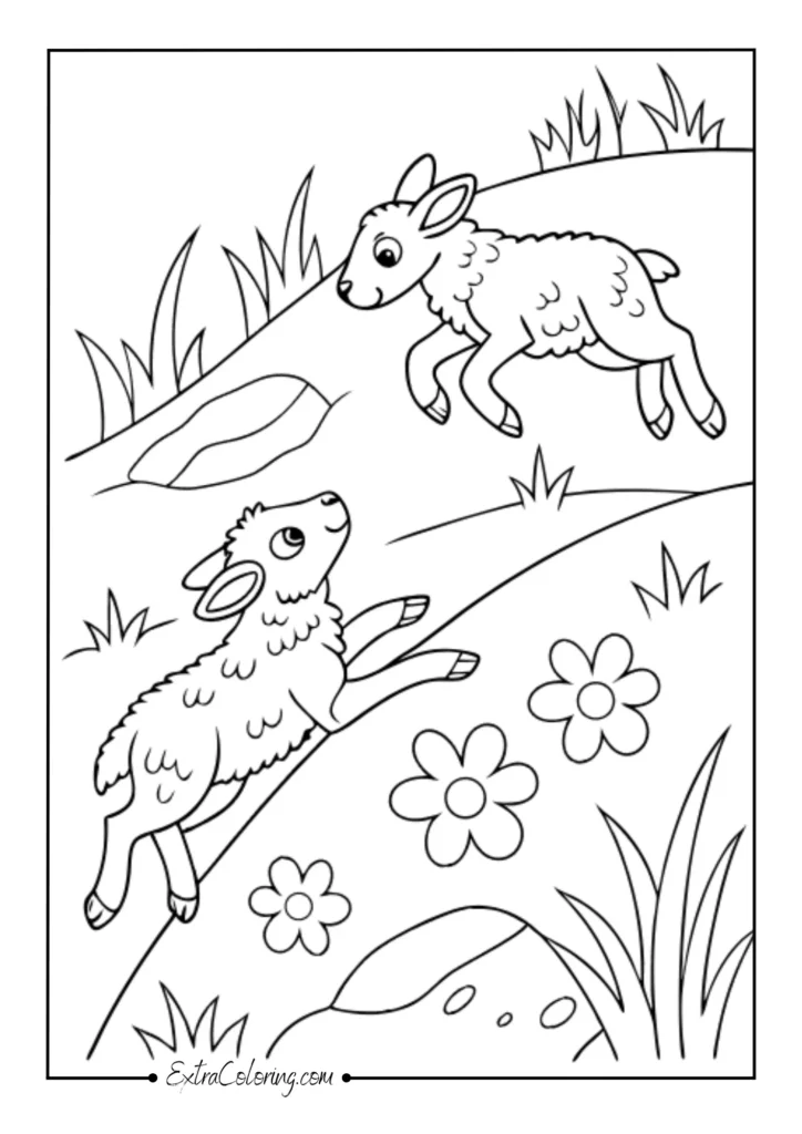Playful lambs in spring fields