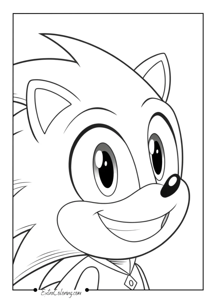 Sonic Face Close-Up